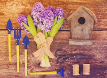 Similar image 13038486