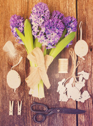 Similar image 13038482