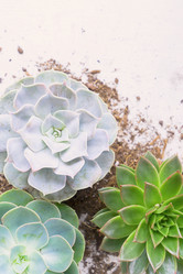 Similar image 13038480