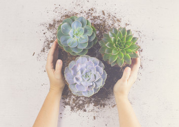 Similar image 13038507