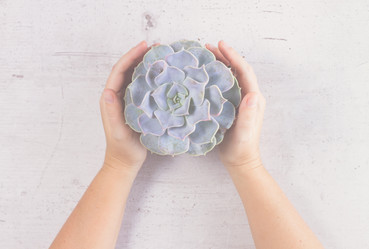 Similar image 13038511