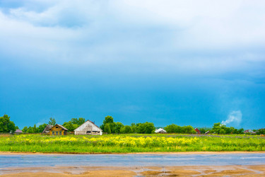 Similar image 13064621