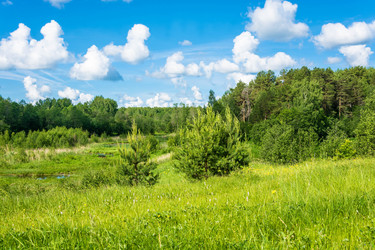 Similar image 13064667