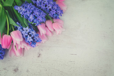 Similar image 13046067