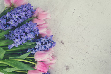 Similar image 13046087