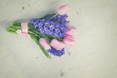 Similar image 13046104