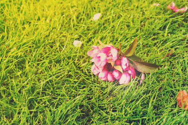 Similar image 13023603