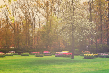 Similar image 13023604