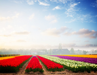 Similar image 13023685