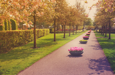 Similar image 13023703