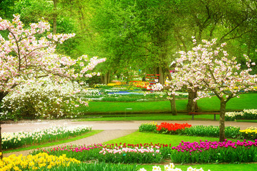 Similar image 13038549