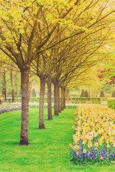 Similar image 13038548