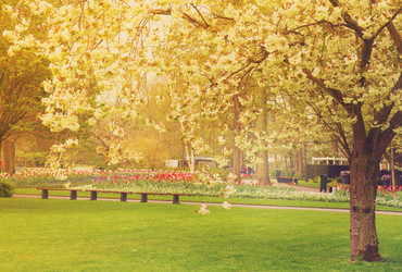 Similar image 13038551