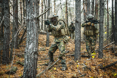 Similar image 13036758