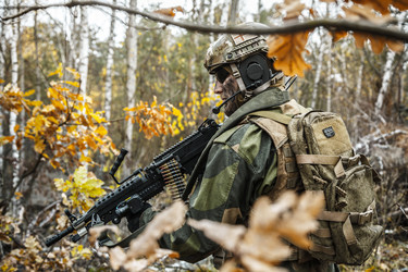 Similar image 13060235