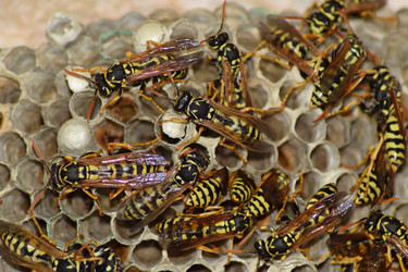 Similar image 13024304