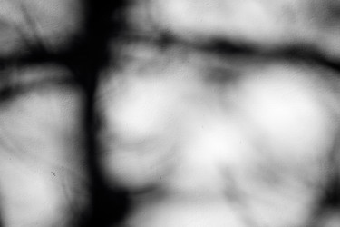 Similar image 13060167