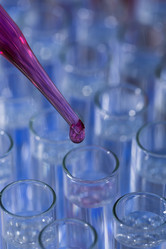 Similar image 13003328