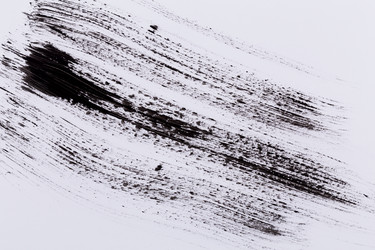 Similar image 13003344