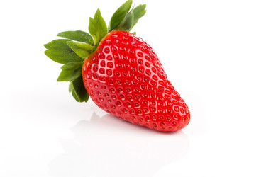 Similar image 13003346