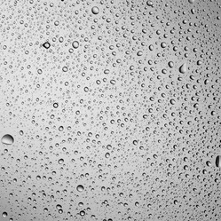 Similar image 13046756