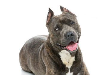 Similar image 13036561