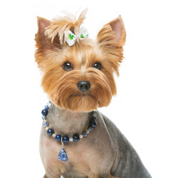 Similar image 13050535