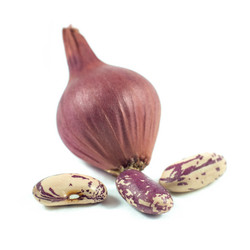 Similar image 13061530