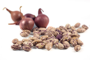 Similar image 13061531