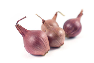 Similar image 13061538