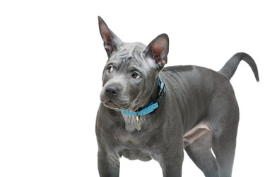 Similar image 13037173