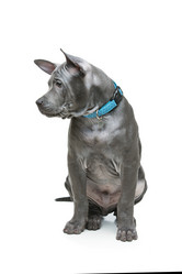 Similar image 13050953