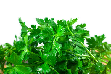 Similar image 13045912