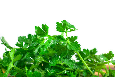 Similar image 13061874