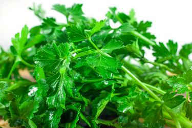 Similar image 13061876