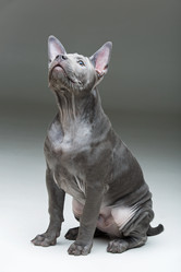 Similar image 13050357