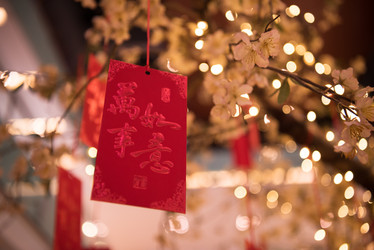 Similar image 13019110