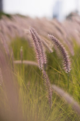 Similar image 13022038