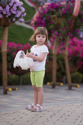 Similar image 13020603