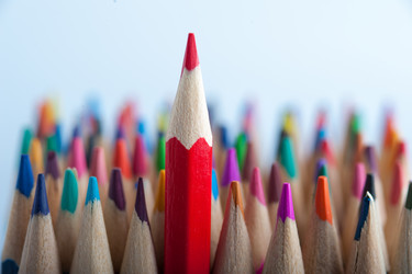 Similar image 13046272