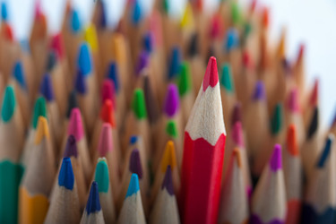 Similar image 13046273