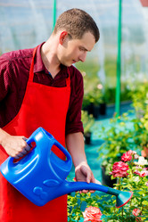 Similar image 13063268