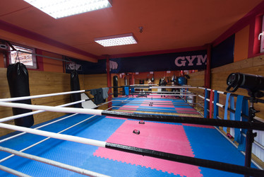 Similar image 13022039