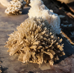 Similar image 13001401