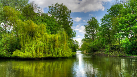 Similar image 13001402