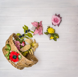 Similar image 13005847