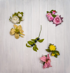 Similar image 13005850