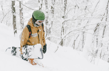 Similar image 13033880