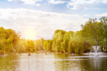 Similar image 13004892