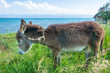 Similar image 13064528